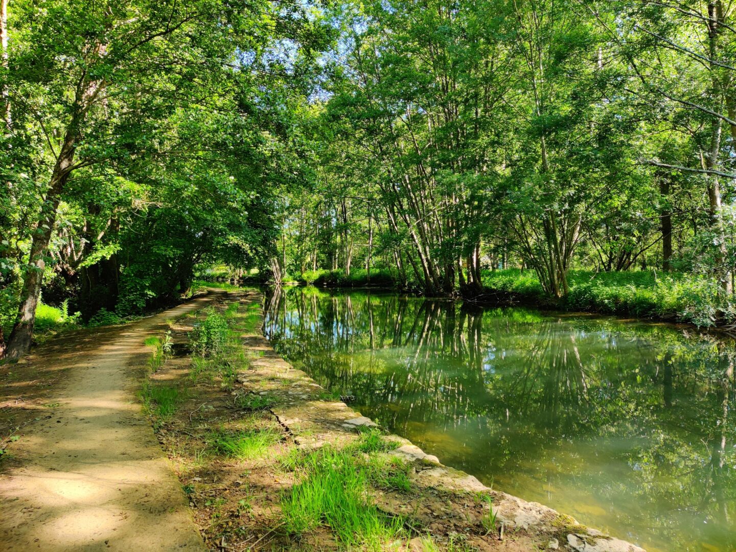 Parcours d’Activités Physiques Sportives Etalonné (PAPSE) de La Crèche La Crèche Nouvelle-Aquitaine Parcours d'Activités Physiques Sportives Etalonné (PAPSE) de La Crèche La Crèche Nouvelle-Aquitaine
