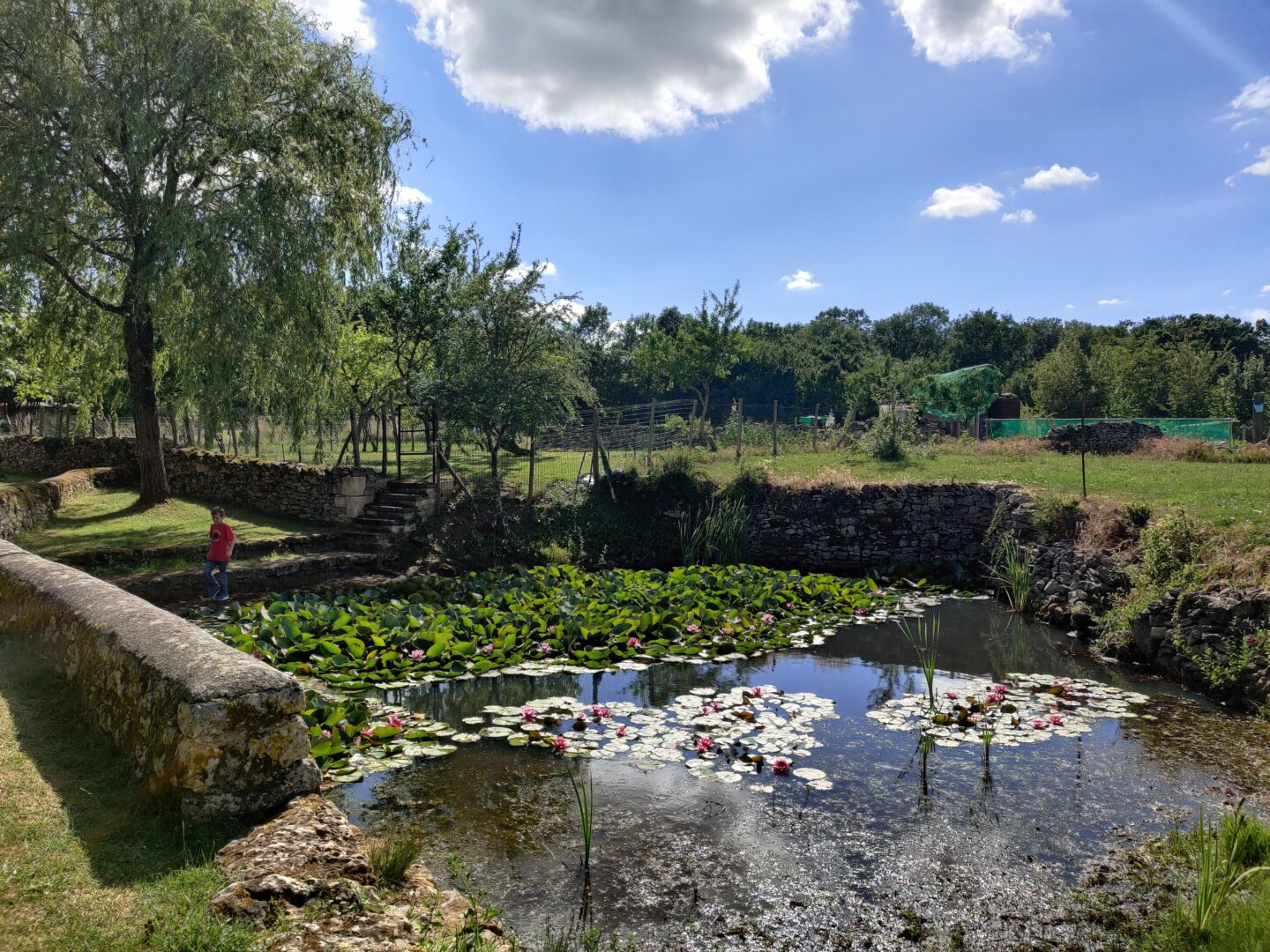 Parcours découverte Chavagné La Crèche Nouvelle-Aquitaine Parcours découverte Chavagné La Crèche Nouvelle-Aquitaine