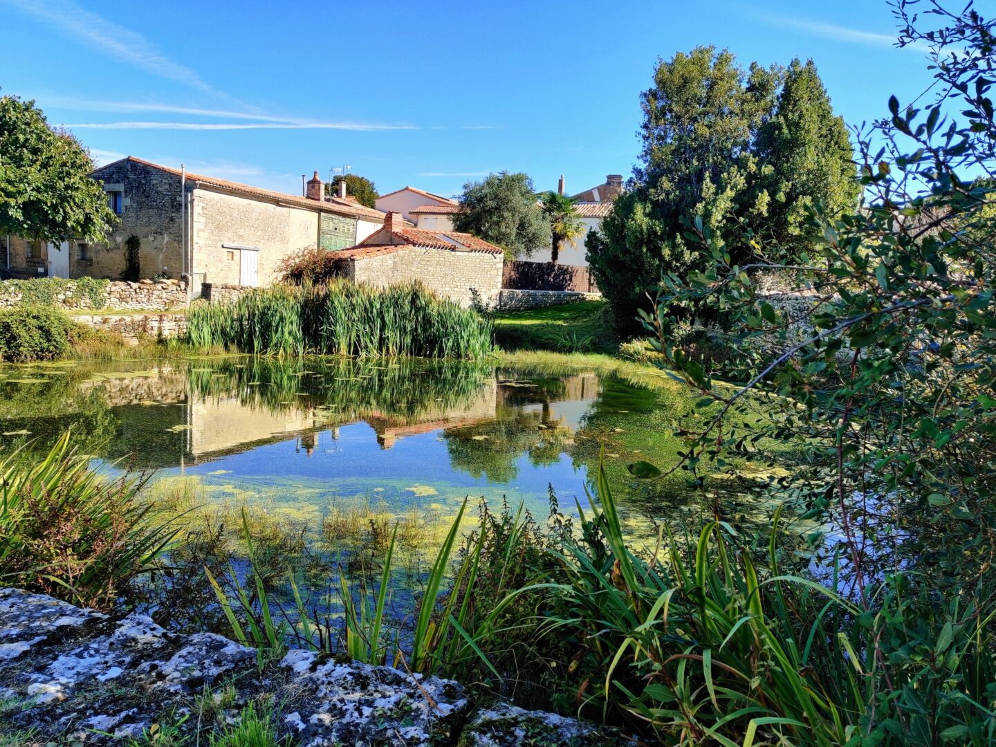 Parcours découverte Tressauve La Crèche Nouvelle-Aquitaine Parcours découverte Tressauve La Crèche Nouvelle-Aquitaine
