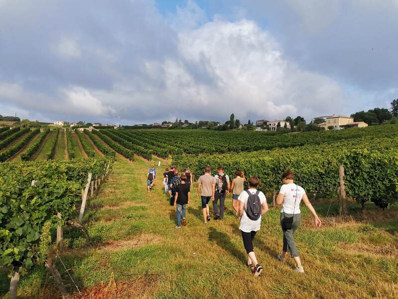 Parcours marche/trail/VTT Le Pian-sur-Garonne Nouvelle-Aquitaine