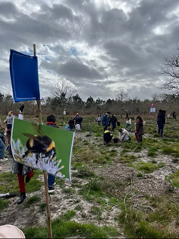Partez à l’aventure dans la forêt ! Jeu de piste les traces d'animaux