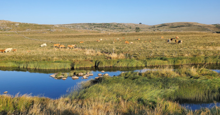 Partir sur les chemins Médiathèque Ormédo - Orvault