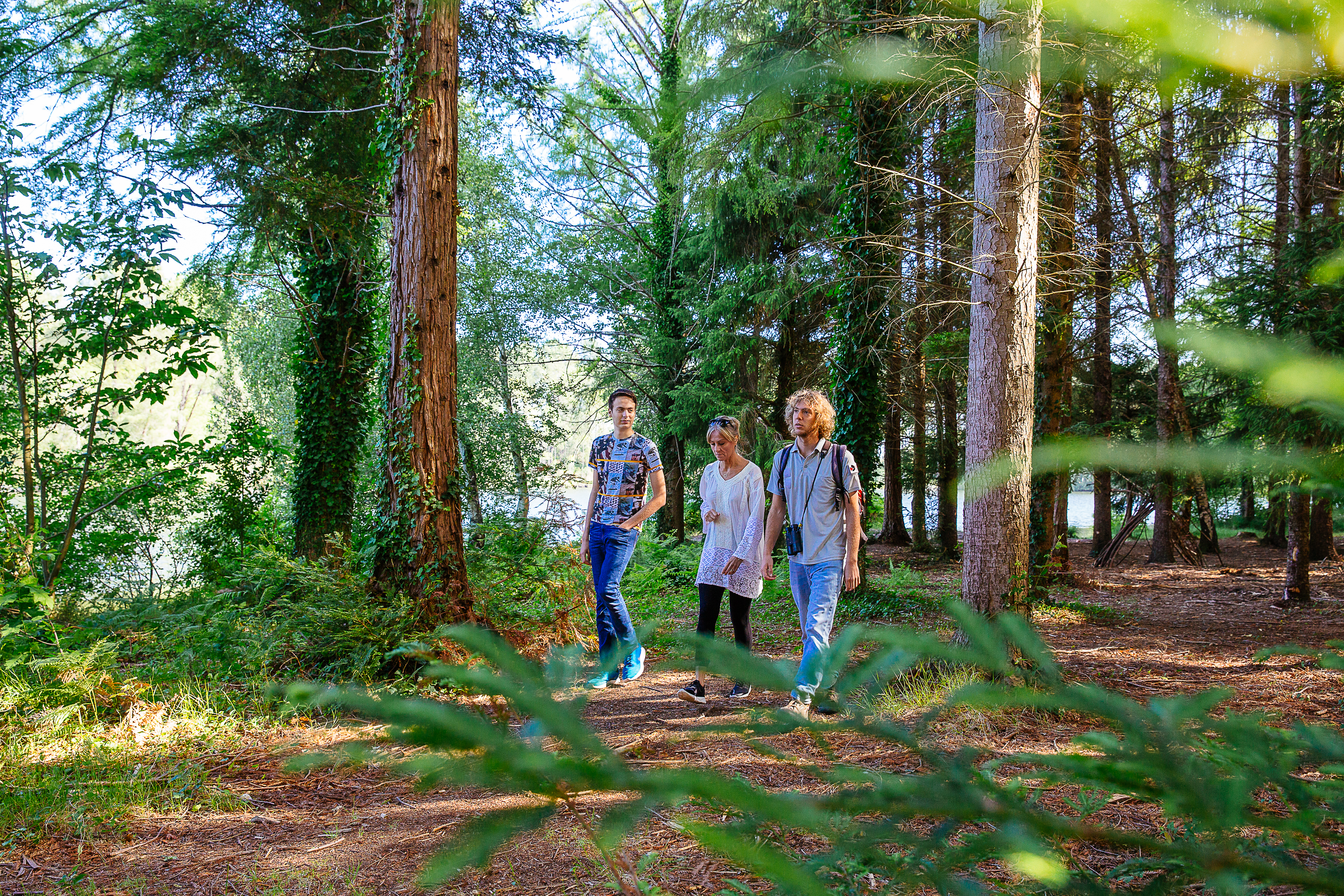 Petite boucle autour des lacs d'Hostens Hostens Nouvelle-Aquitaine