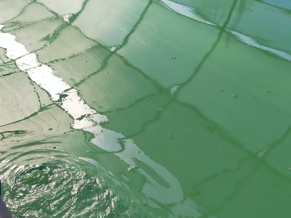 PORTES OUVERTES À LA FERME SPIR'AUDOISE