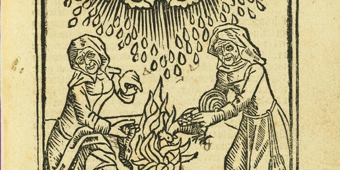 Potionum Inventum - Animation 7/11 ans Château des Ducs de Bretagne - Musée d'Histoire de Nantes