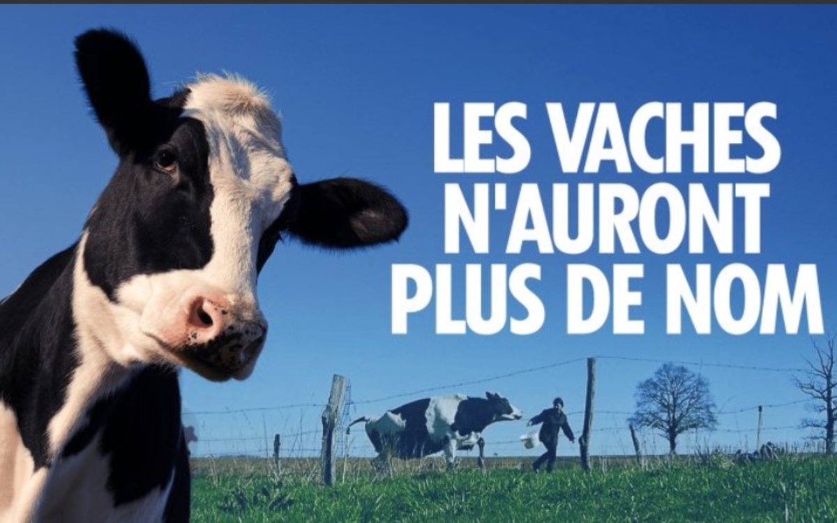 Projection "Les vaches n'auront plus de nom" de Hubert Charuel bibliotheque Jacqueline de romilly Paris