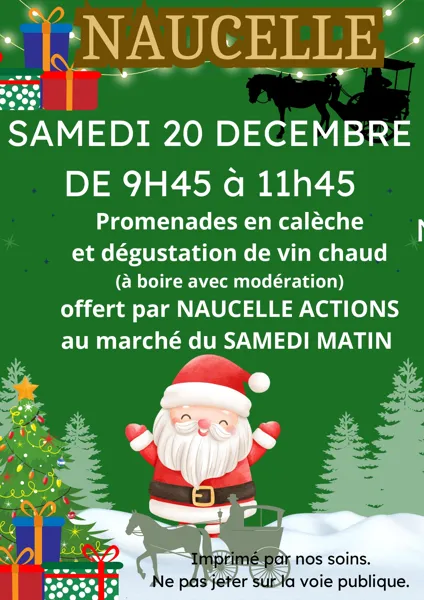 Promenades en calèche et dégustation de vin chaud