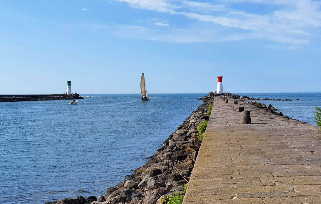 RANDONNEE LA TAMARISSIERE A L'OMBRE DES PINS Agde Occitanie
