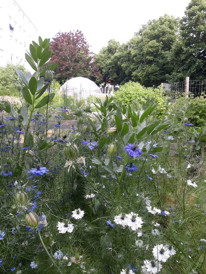 Rendez-vous au jardin Sensive terre Jardin Sensive terre