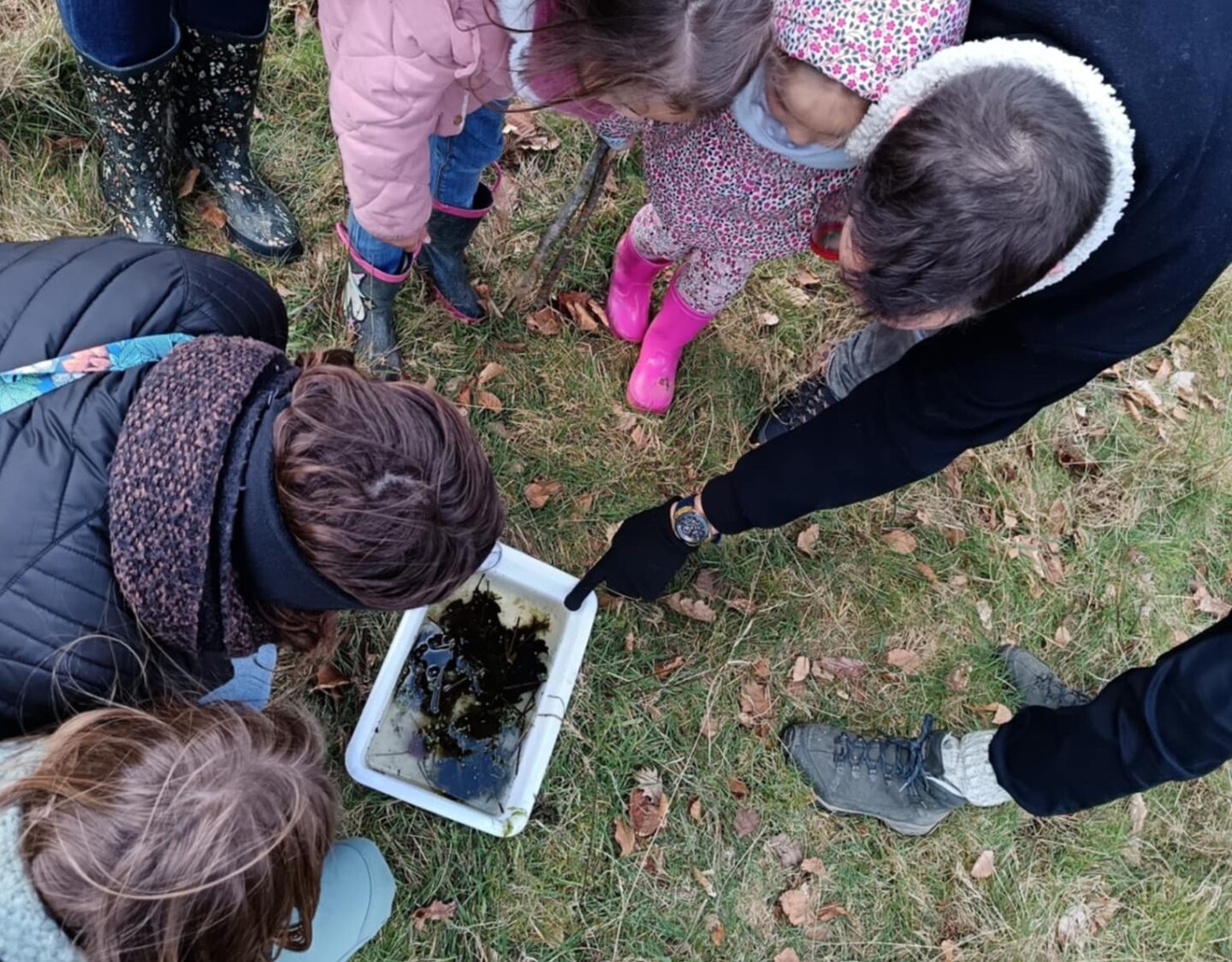 Rendez-vous créatif Le printemps dans la mare !