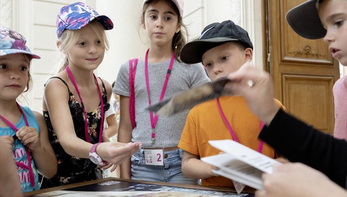 Retour à la case musée (+6 ans) Musée d'arts de Nantes