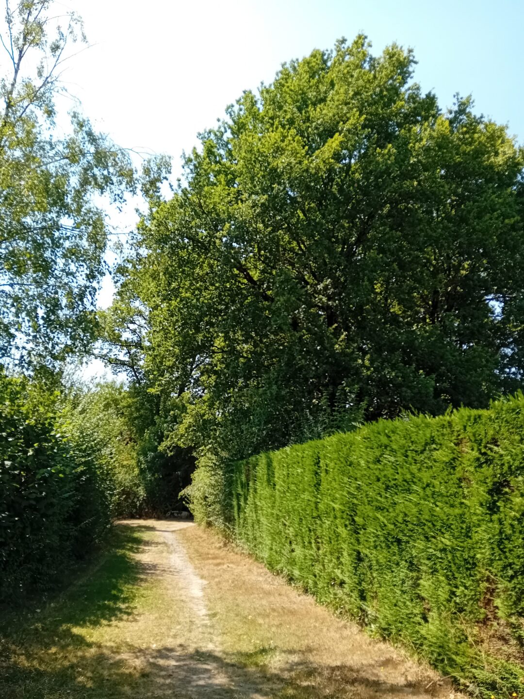 Saint-Amand-sur-Sèvre circuit n°1