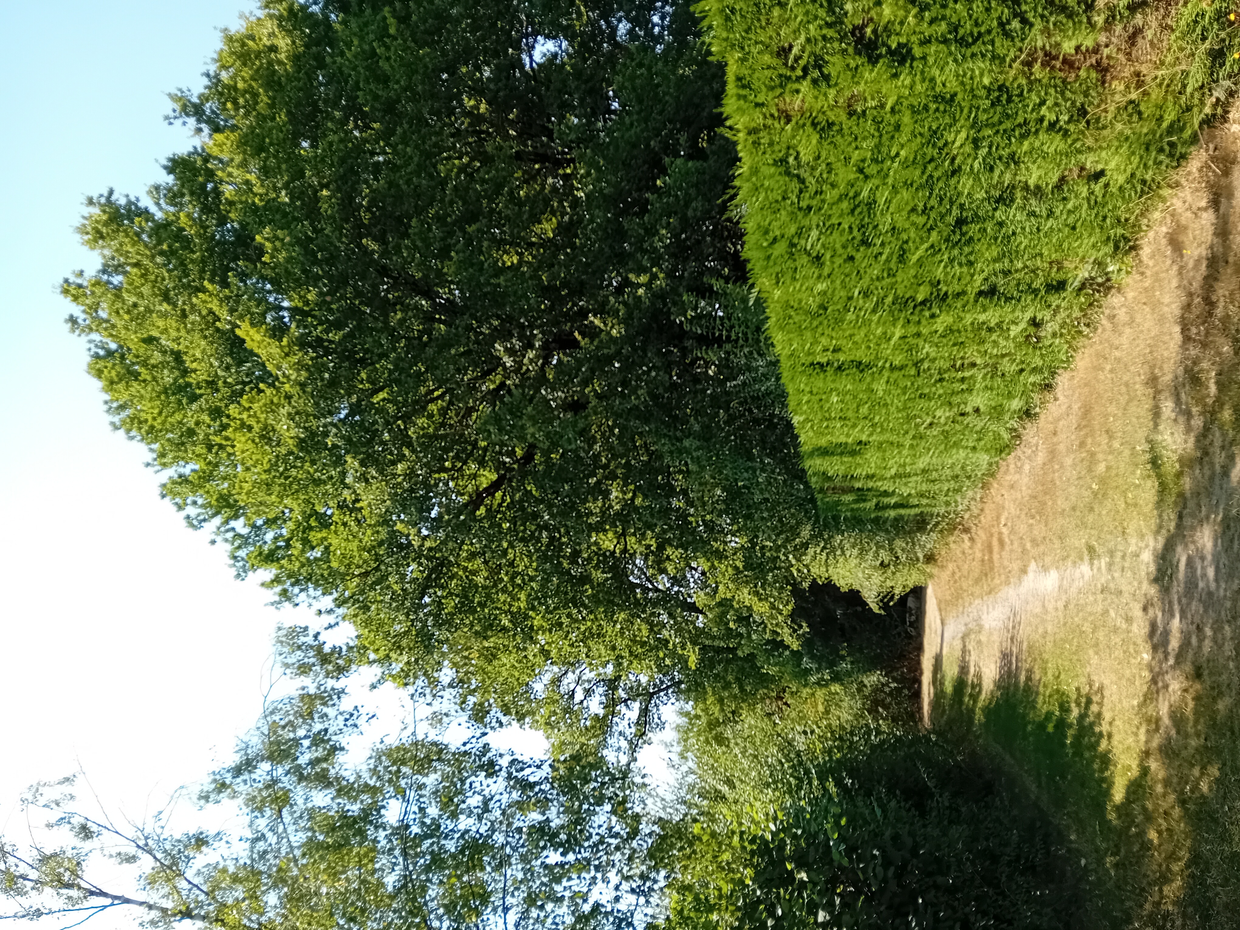 Saint-Amand-sur-Sèvre circuit n°1