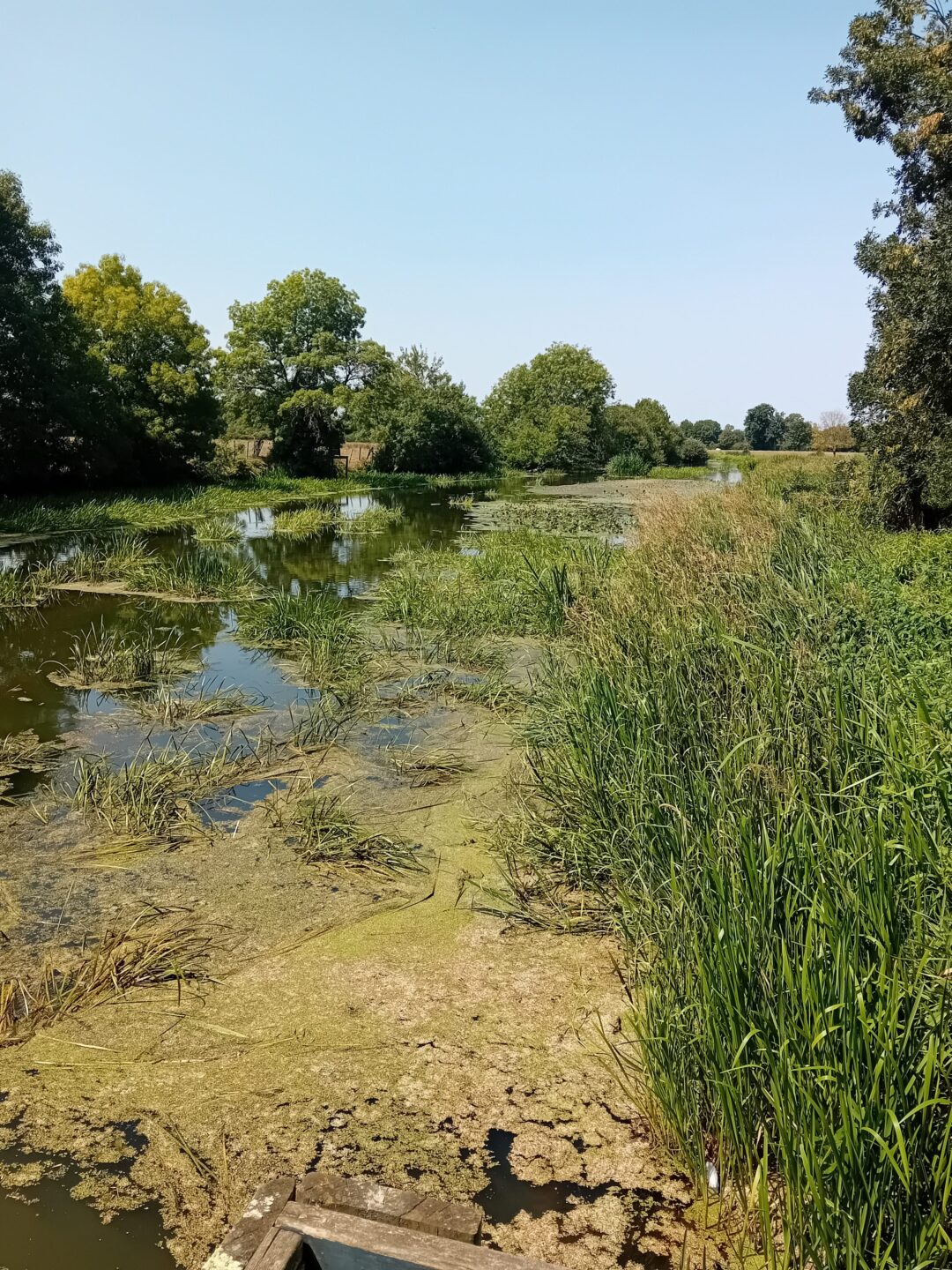 Saint-Amand-sur-Sèvre circuit n°3 Saint-Amand-sur-Sèvre Nouvelle-Aquitaine