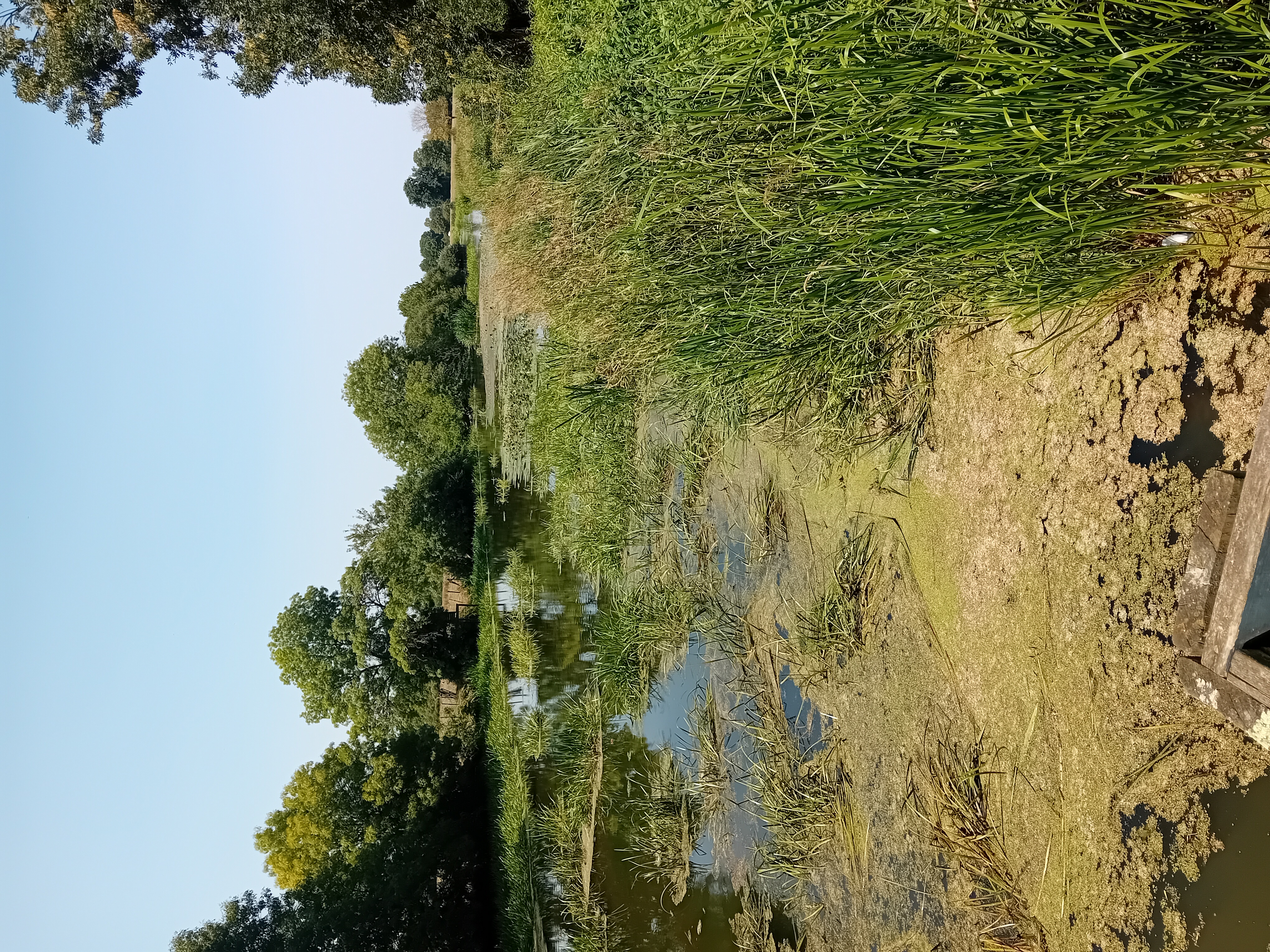 Saint-Amand-sur-Sèvre circuit n°3 Saint-Amand-sur-Sèvre Nouvelle-Aquitaine