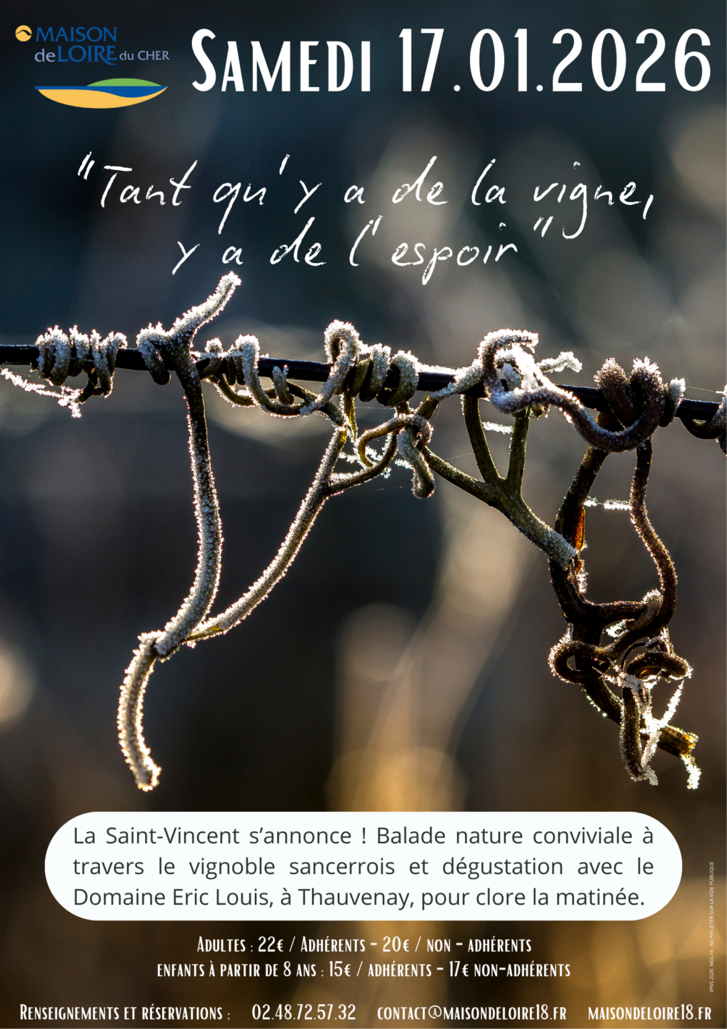 [Saint Vincent]: Tant qu'il y a de la vigne