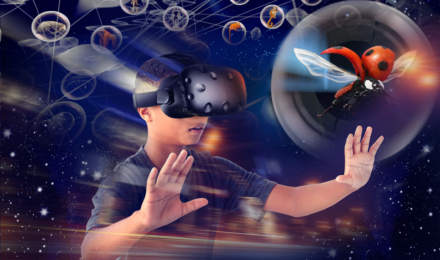 Séances de réalité virtuelle Voyage au cœur de l'Évolution