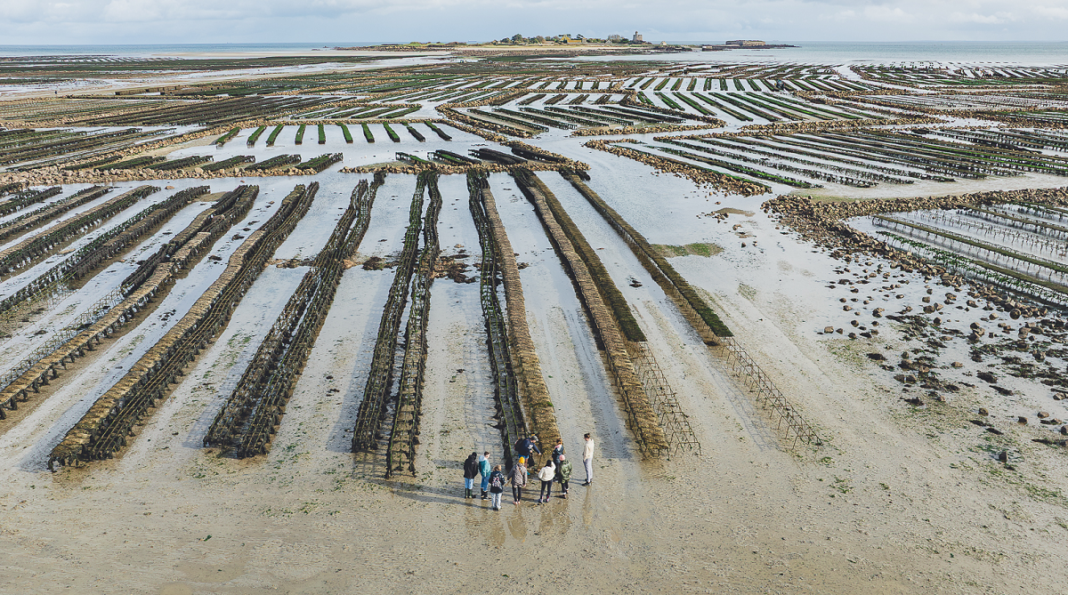Séjour Equinoxe, le Cotentin au rythme des grandes marées  Saint-Vaast-la-Hougue