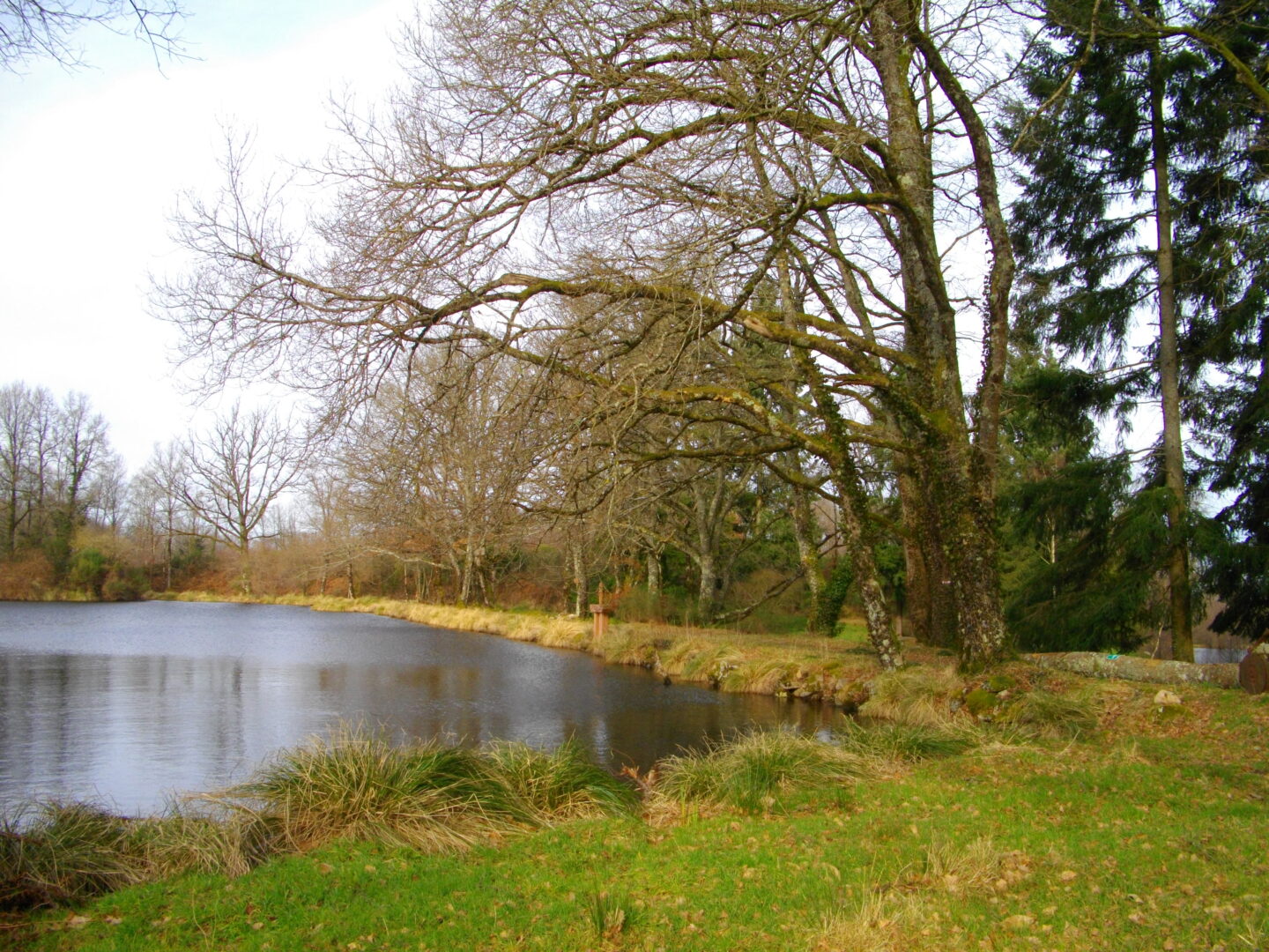 sentier des étangs Mortemart Nouvelle-Aquitaine sentier des étangs Mortemart Nouvelle-Aquitaine