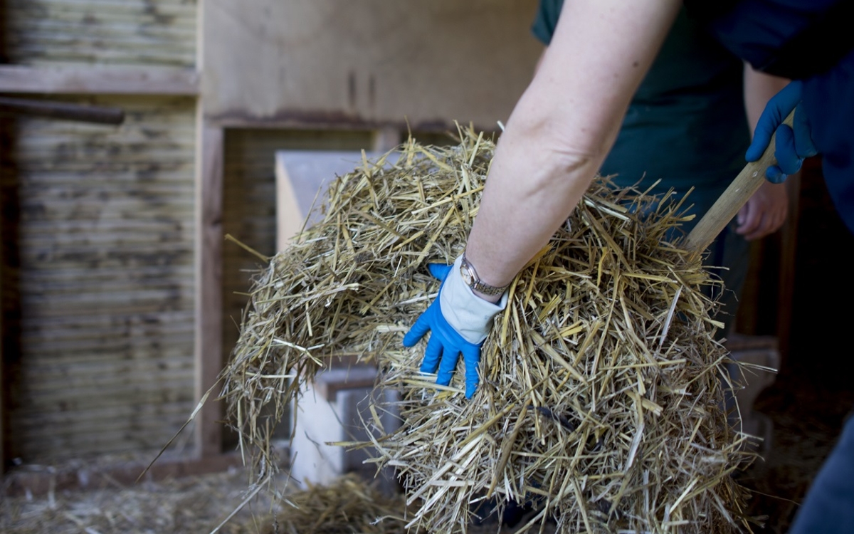 Soigneur d'un jour à la Ferme de Paris Ferme de Paris Paris