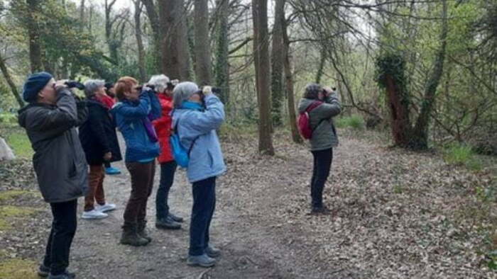 Sortie oiseaux crépusculaire au Lac de Beaulieu Lac de Beaulieu