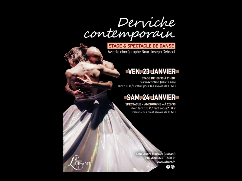 Spectacle de danse Androgyne