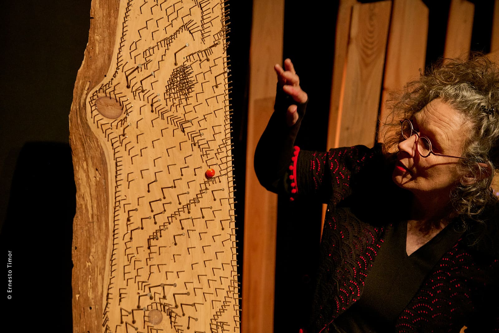 Spectacle La Pie qui dit