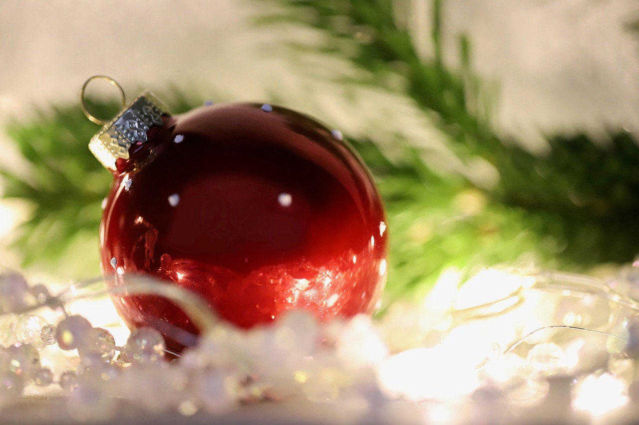 Spectacle Le Noêl de Forêt Merveilles