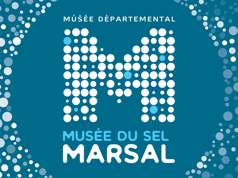 Spectacle Le sel de la vie