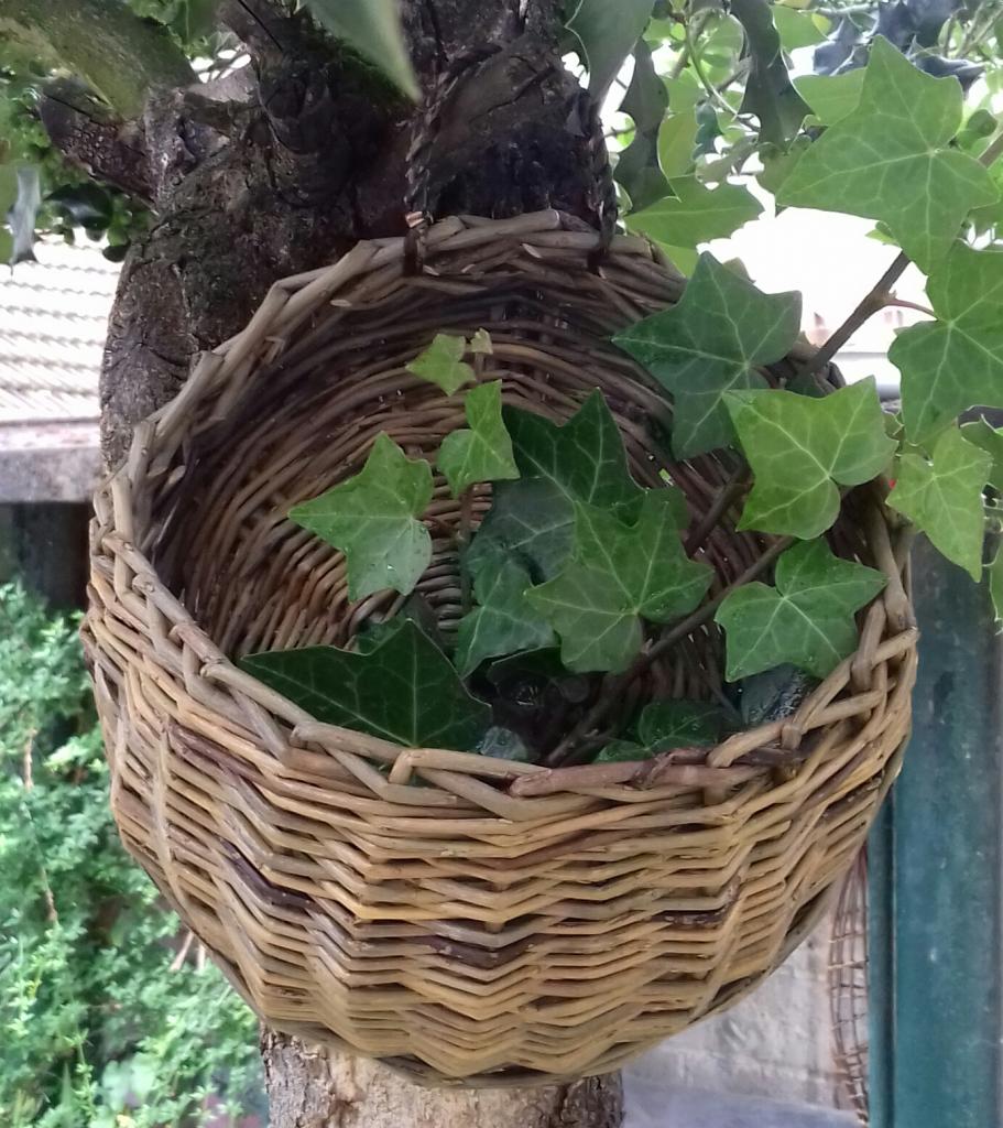 Stage de vannerie Hiver et Printemps