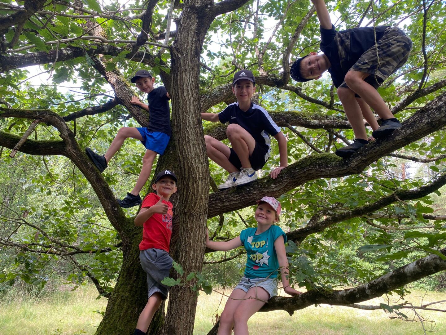 Stage enfants Multi activités Vacances de la Toussaint
