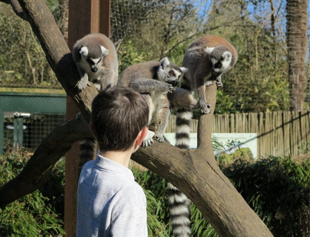Stage  mini-soigneur Zoo d&rsquo;Asson Asson