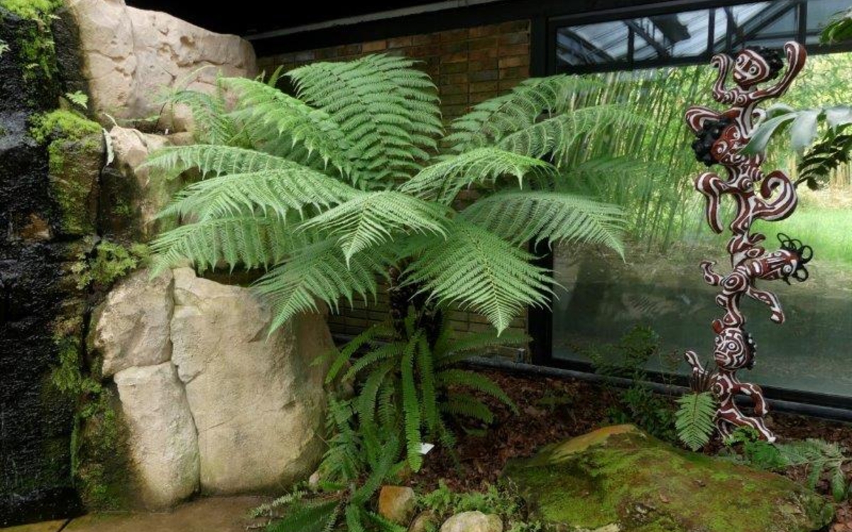 Sur la trace des premières plantes Parc Floral Paris