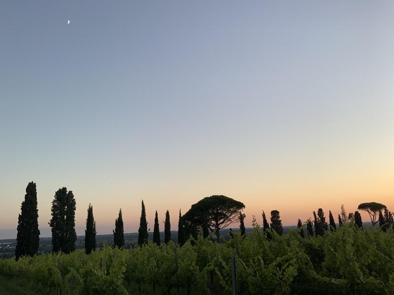 Toile Étoiles 17 route de Malagar Saint-Maixant 2026-07-23 Toile Étoiles