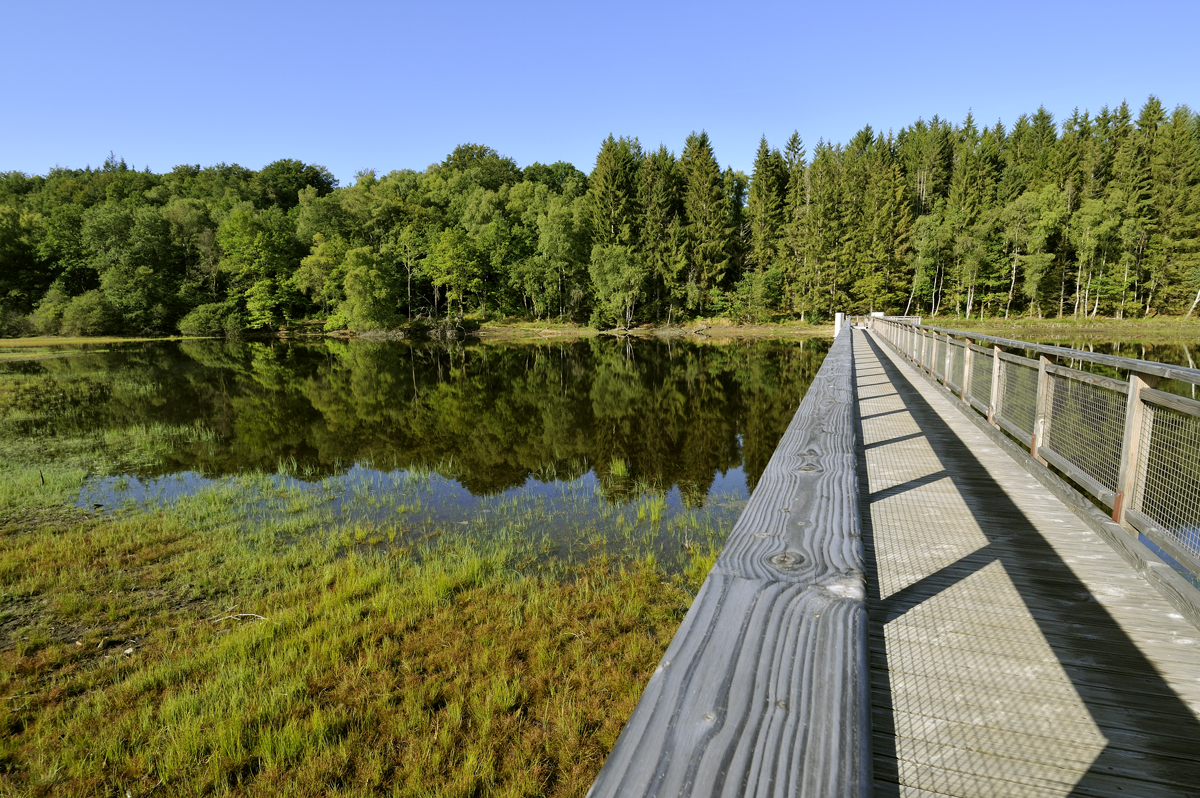 Tour du lac de Vassivière (équestre) Beaumont-du-Lac Nouvelle-Aquitaine