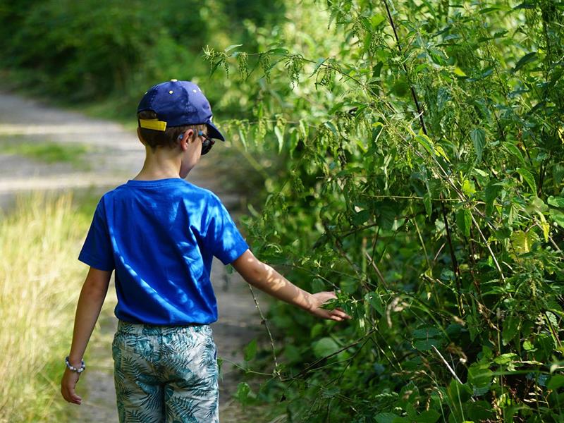 Tourbières et Marais Ippling Grand Est