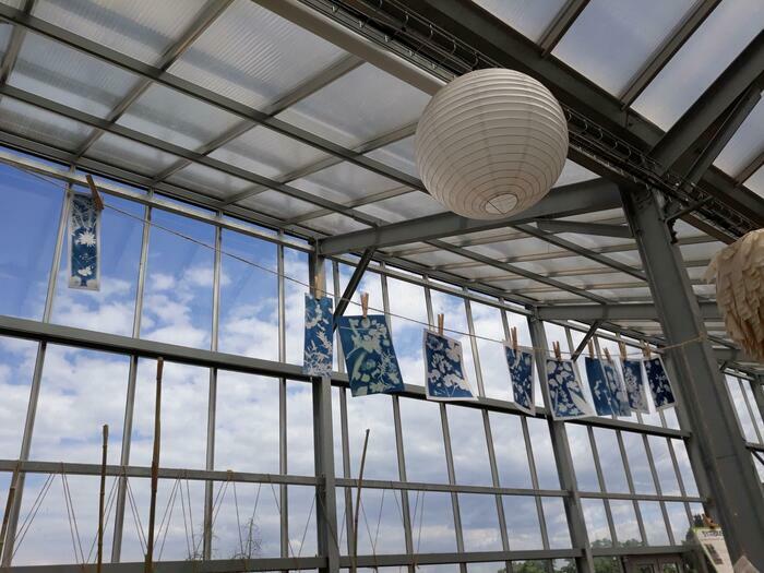 Un après-midi à la serre Serre symbiose