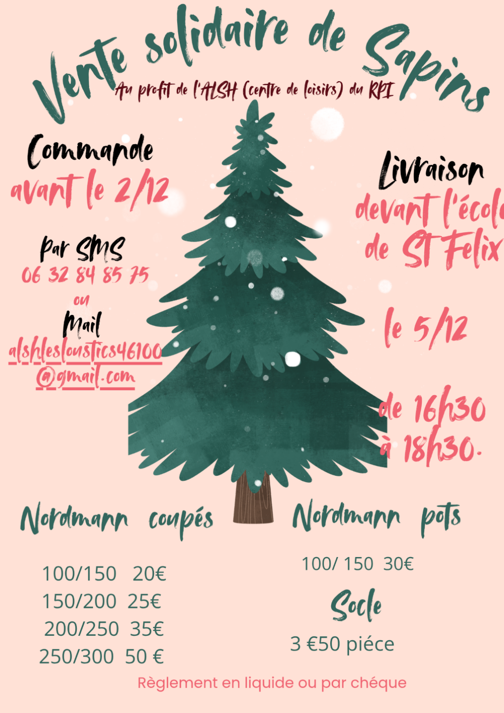 Une vente solidaire de sapins de Noël à Saint-Félix