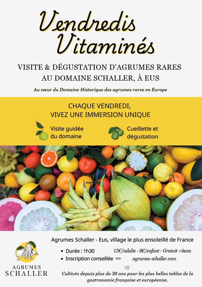 VENDREDIS VITAMINÉS