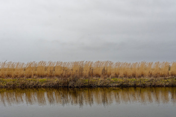 Vernissage de l'exposition Littoral