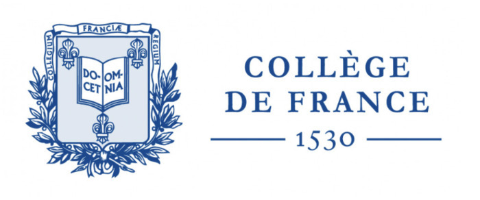 Violences : des stigmates psychiques multiples et durables Collège de France Paris