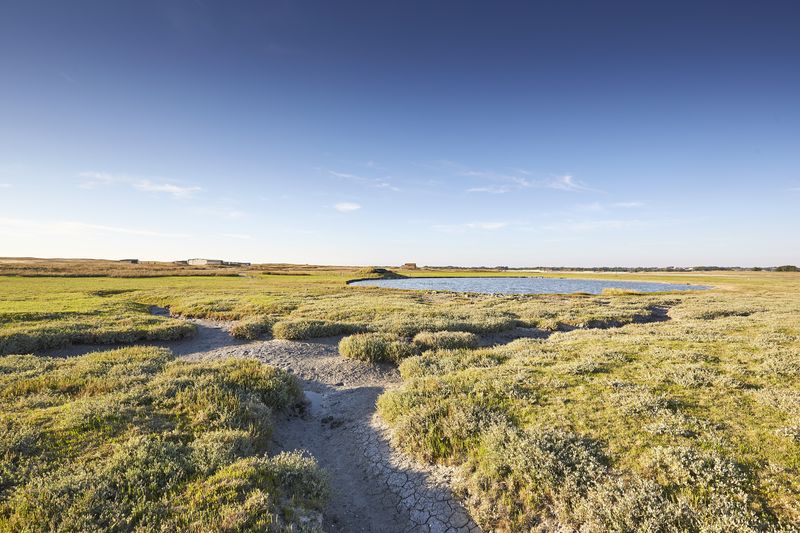 Visite commentée de l'Office de Tourisme Balade dans le Havre de la Vanlée
