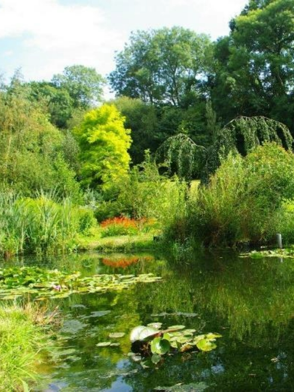 Visite du jardin Le pré du moulin