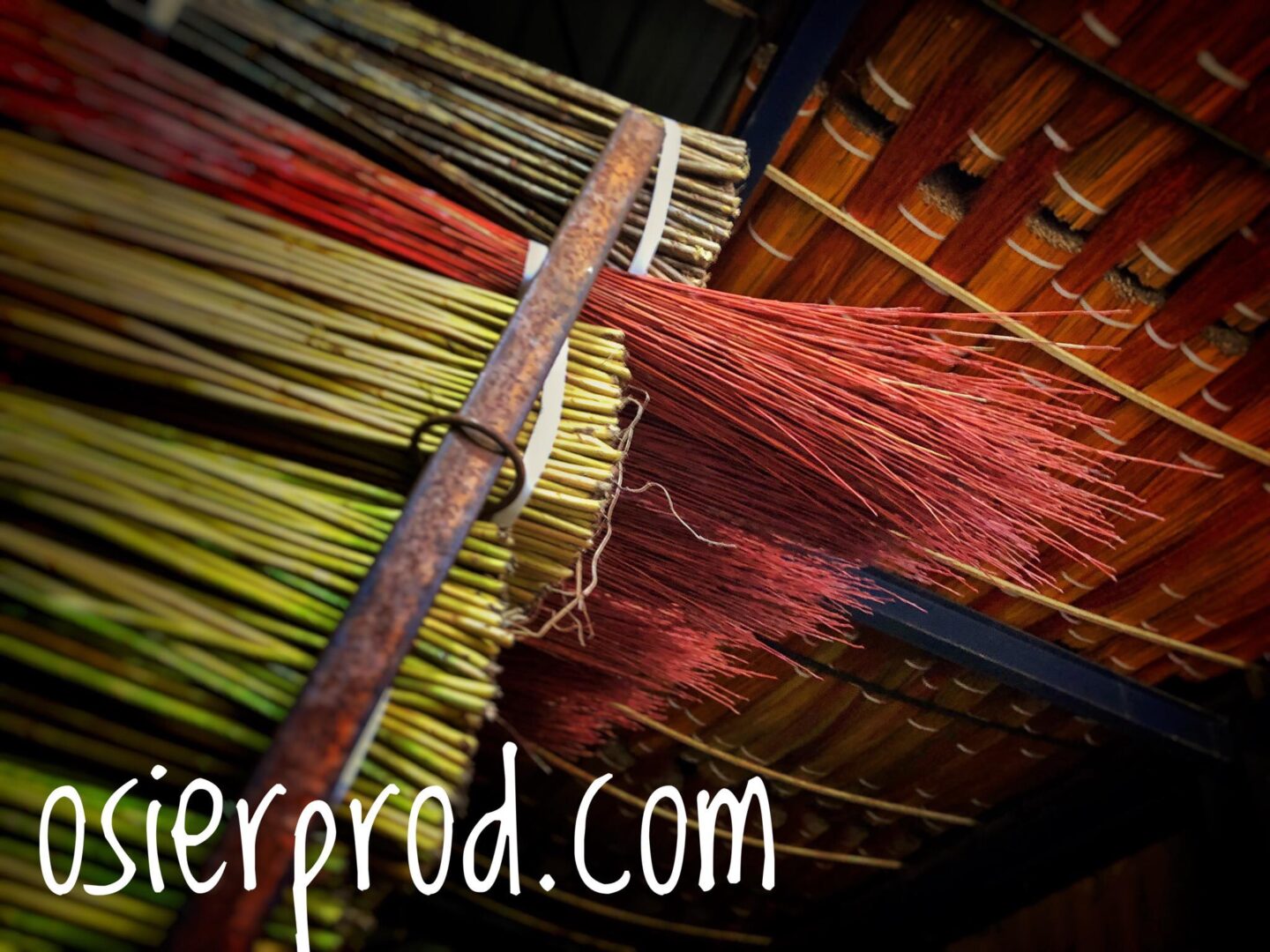 Visite d’une exploitation productrice d’osier la récolte 8 Route de Gué Droit Saché 2026-12-30 Visite d'une exploitation productrice d'osier la récolte