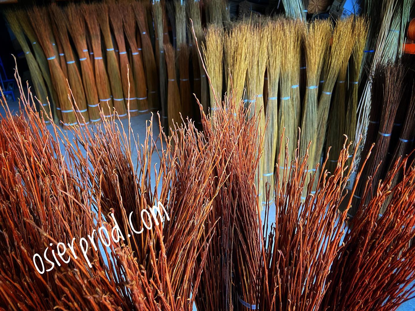 Visite d’une exploitation productrice d’osier l’entretien 8 Route de Gué Droit Saché 2026-06-17 Visite d'une exploitation productrice d'osier l'entretien