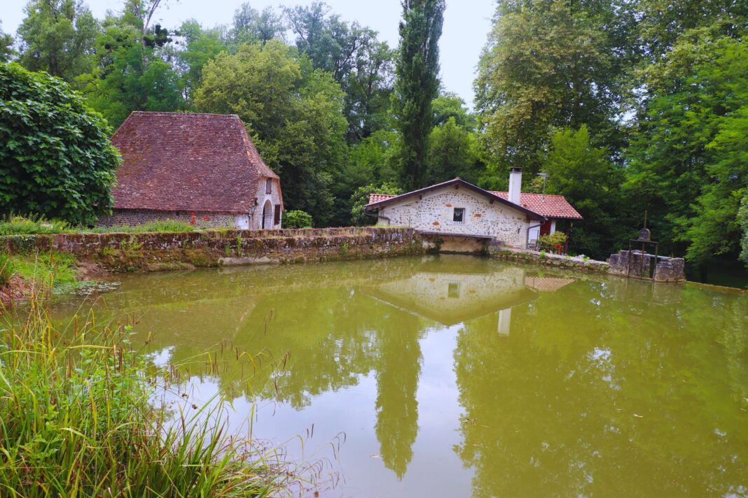Visite guidée Moulin de Candau Moulin de Candau Castétis