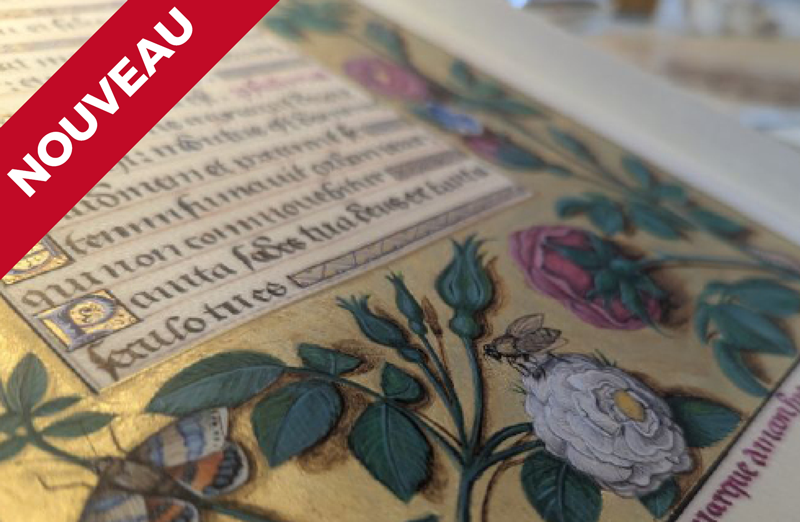 Voyage au coeur de l’enluminure 65 Avenue Gambetta Le Blanc 2025-12-12 Voyage au coeur de l'enluminure