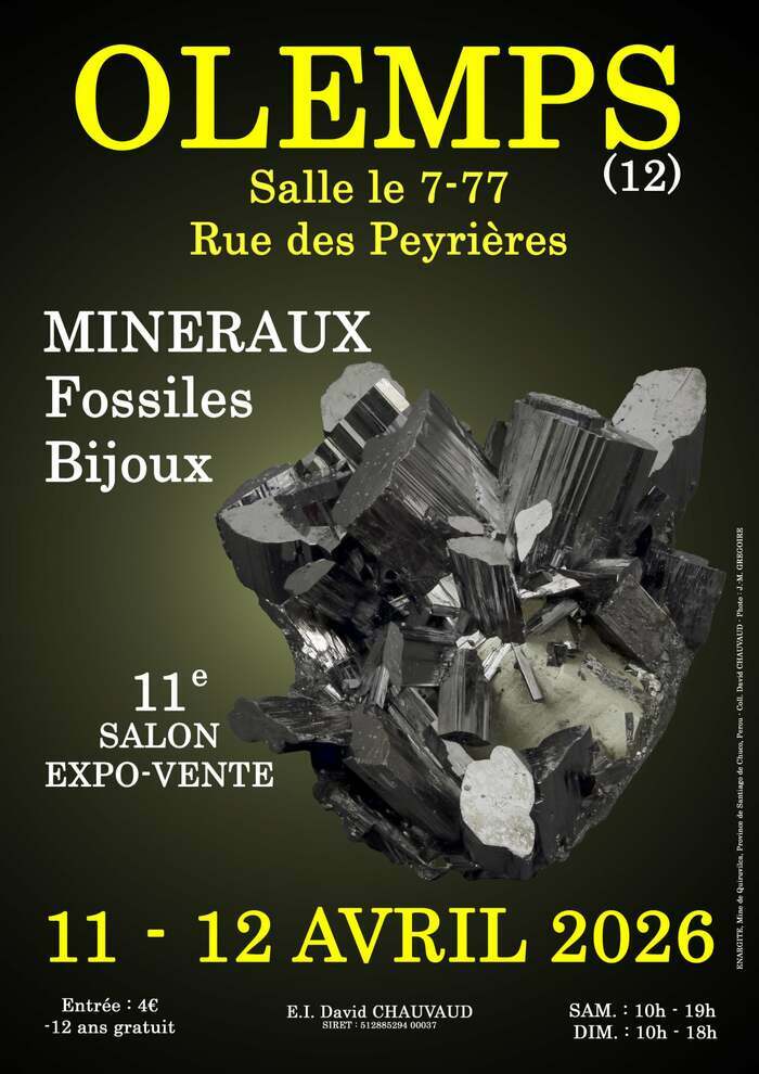 11e SALON MINERAUX FOSSILES BIJOUX de OLEMPS (Aveyron) 7-77 Olemps