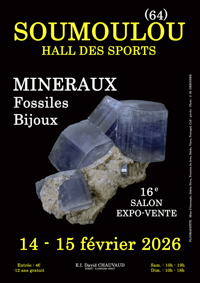 16e SALON MINERAUX FOSSILES BIJOUX de SOUMOULOU (Pyrénées-Atlantiques) Halle des Sports Soumoulou