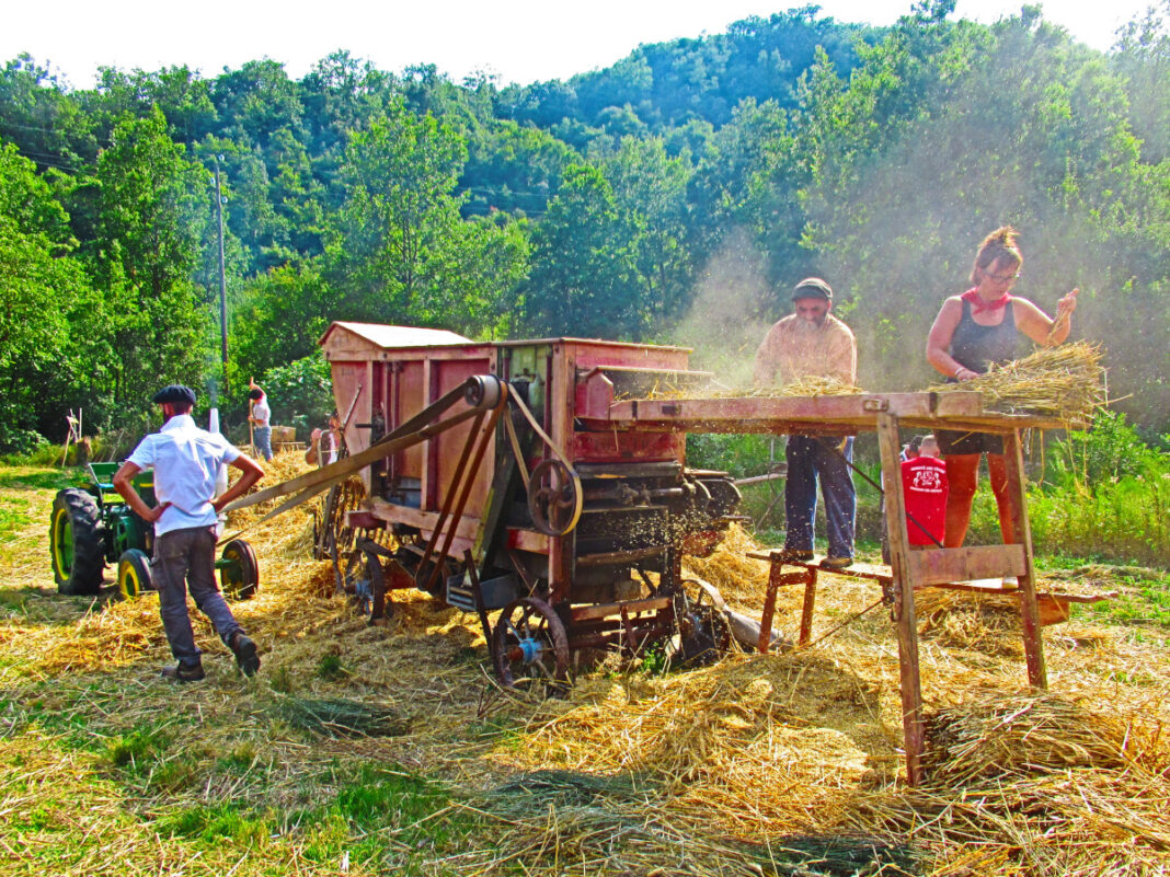 17ÈME FÊTE D’ANTAN Cubières-sur-Cinoble